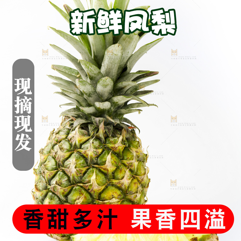 白底上摆放着海南凤梨