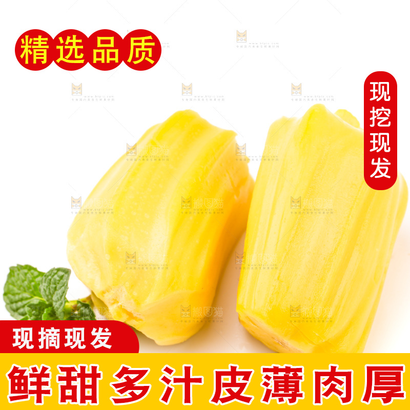 白底上的黄肉菠萝蜜