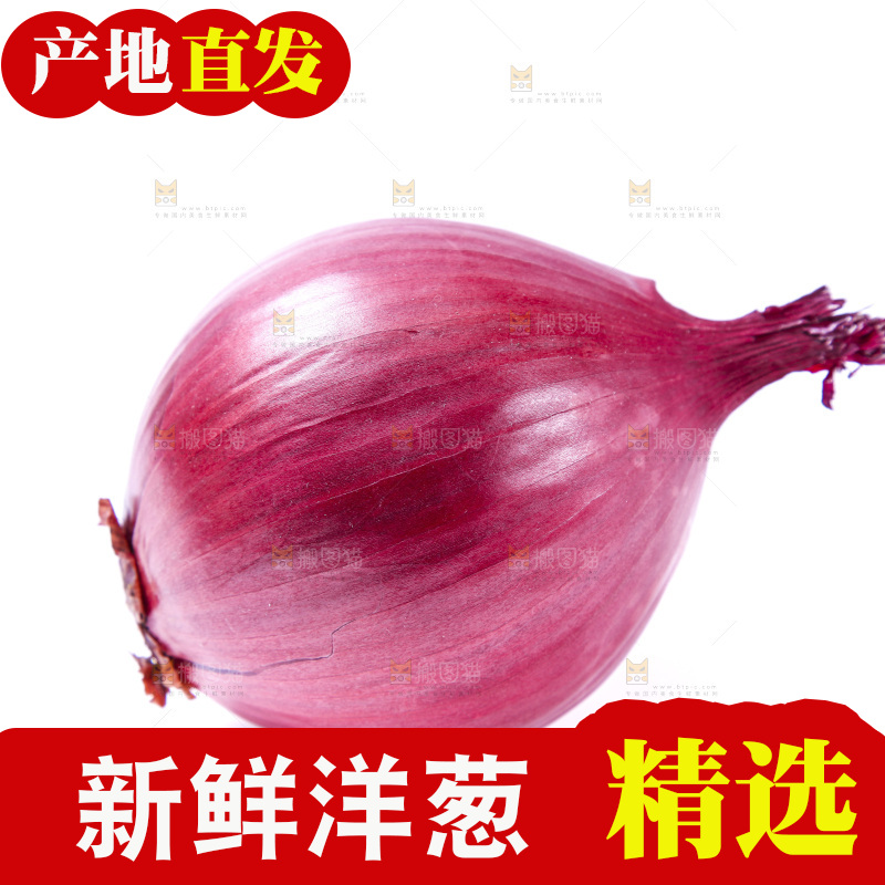 白底上放着洋葱