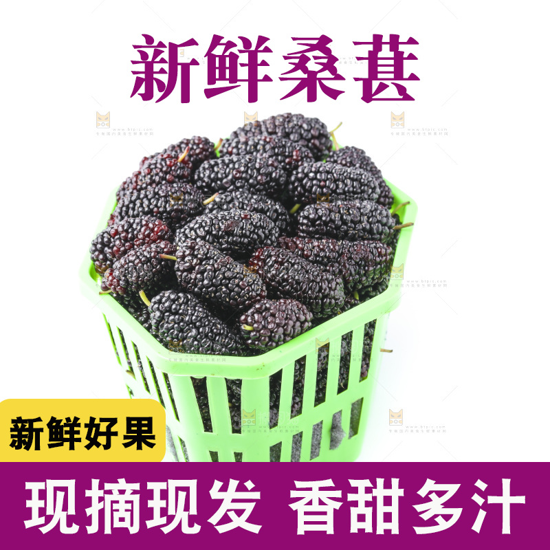 框子里装着新鲜桑葚