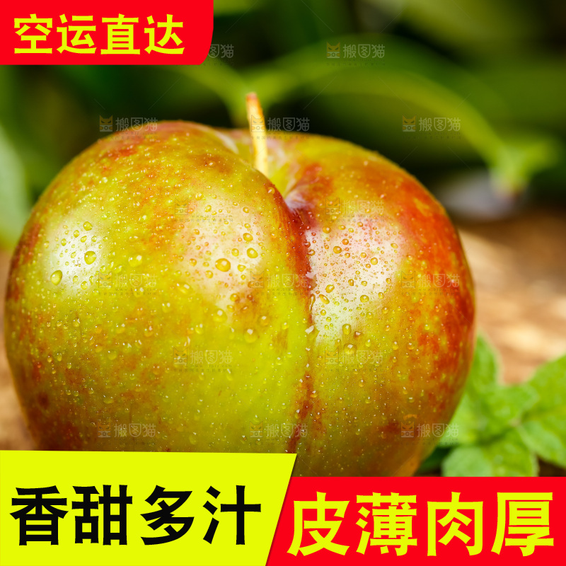 深底上摆放着三华李