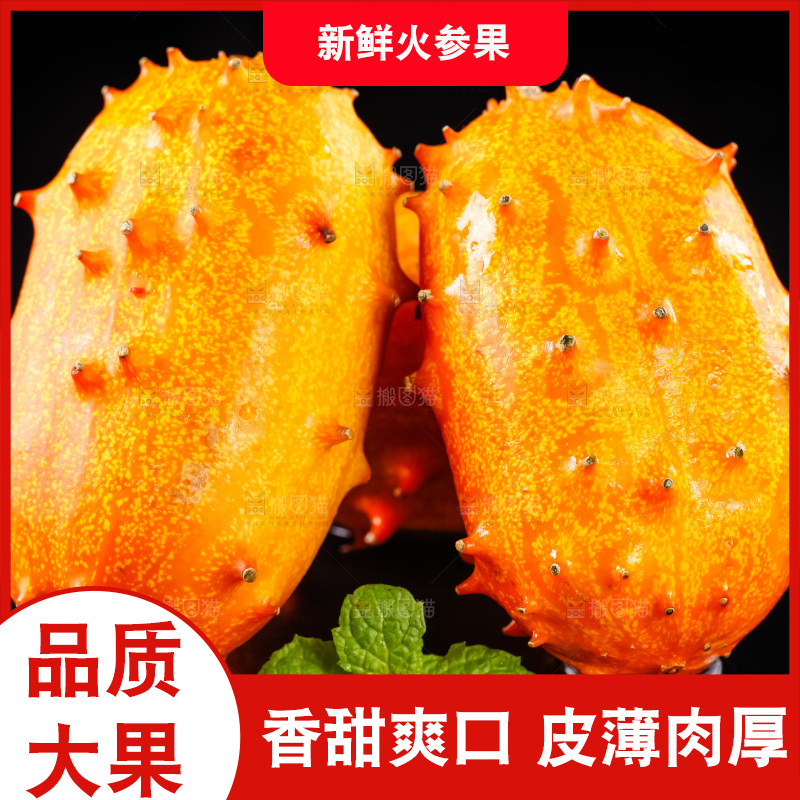 黑底上放着刺角瓜