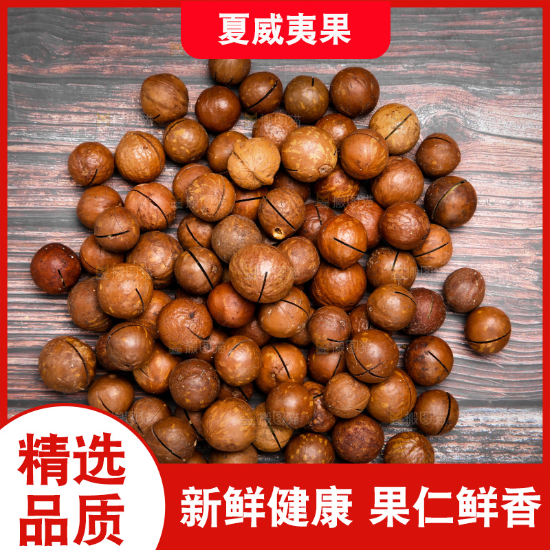 坚果纹理素材