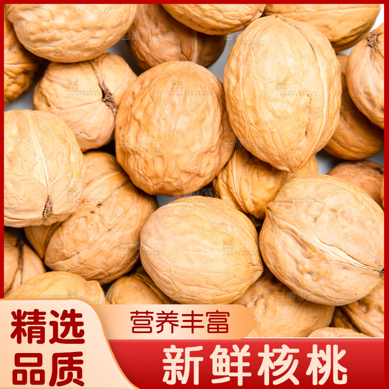 坚果纹理素材