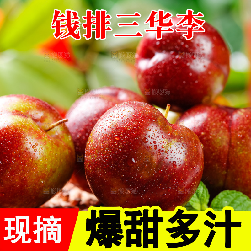 篮子上放着三华李
