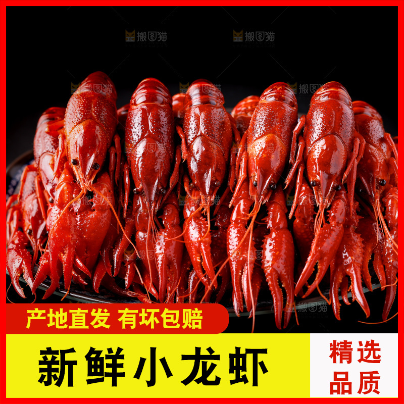 黑底上的清蒸小龙虾