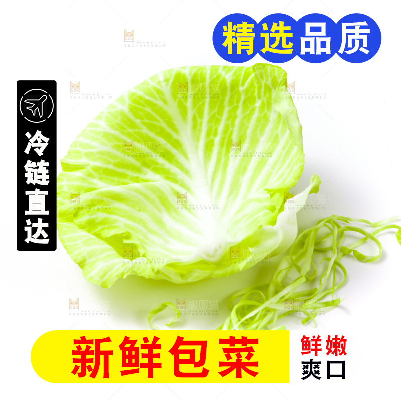 白底上的包菜