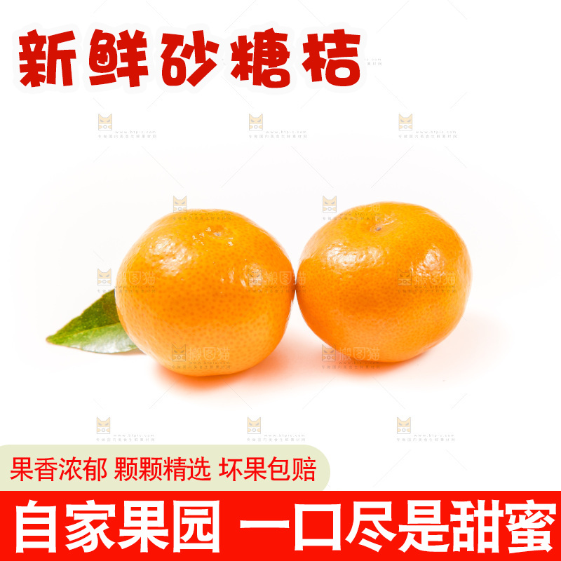 白底上的砂糖桔