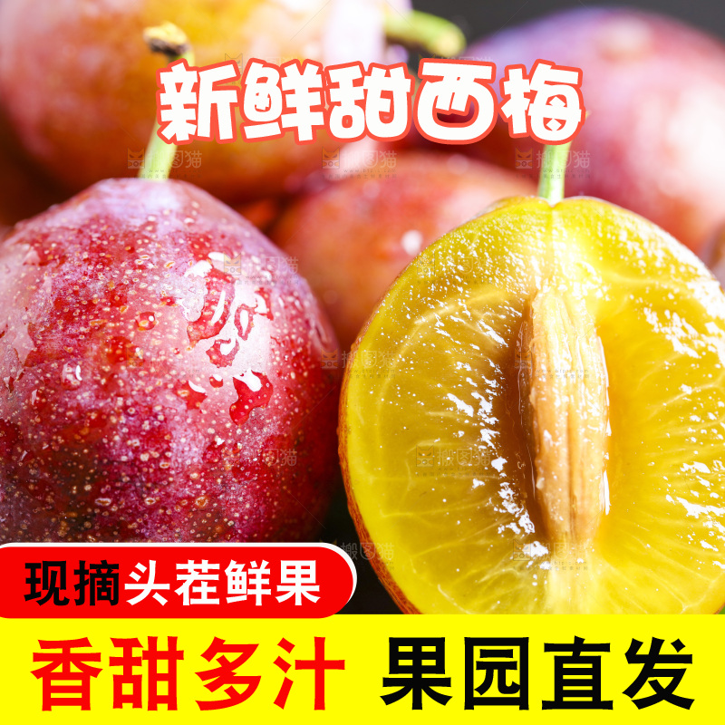 木底上的新疆西梅