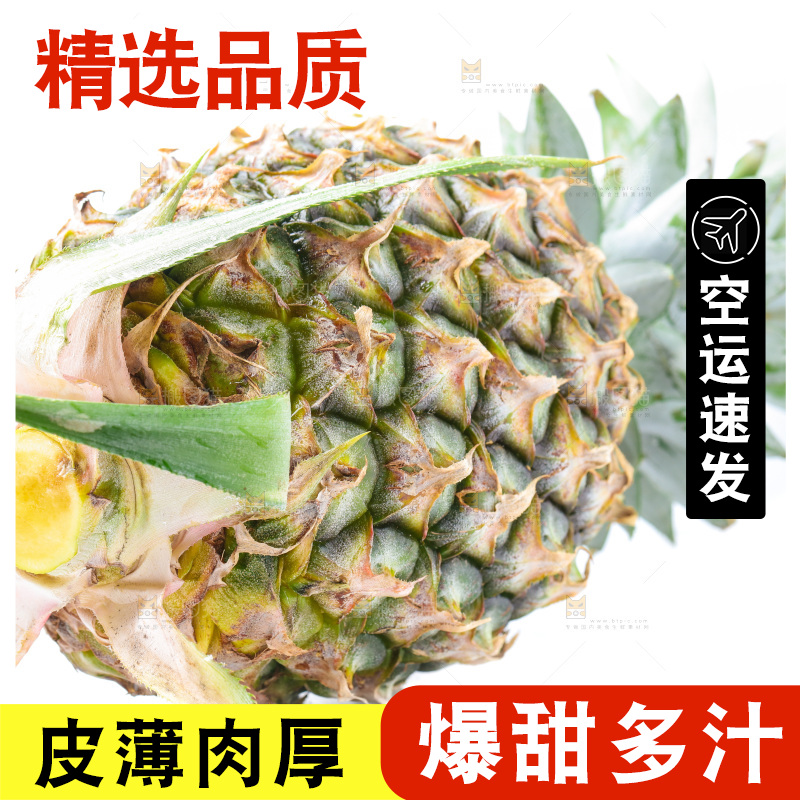白底上的金钻凤梨