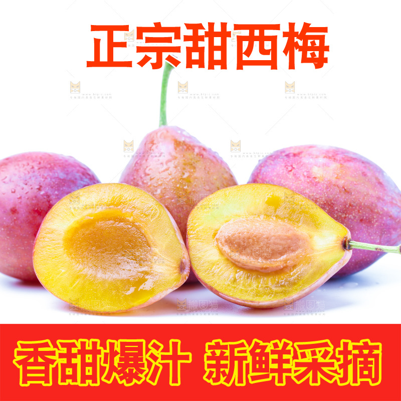 浅底上的新疆西梅