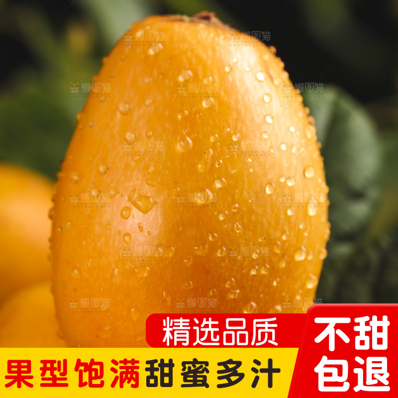 篮子里装着新鲜枇杷