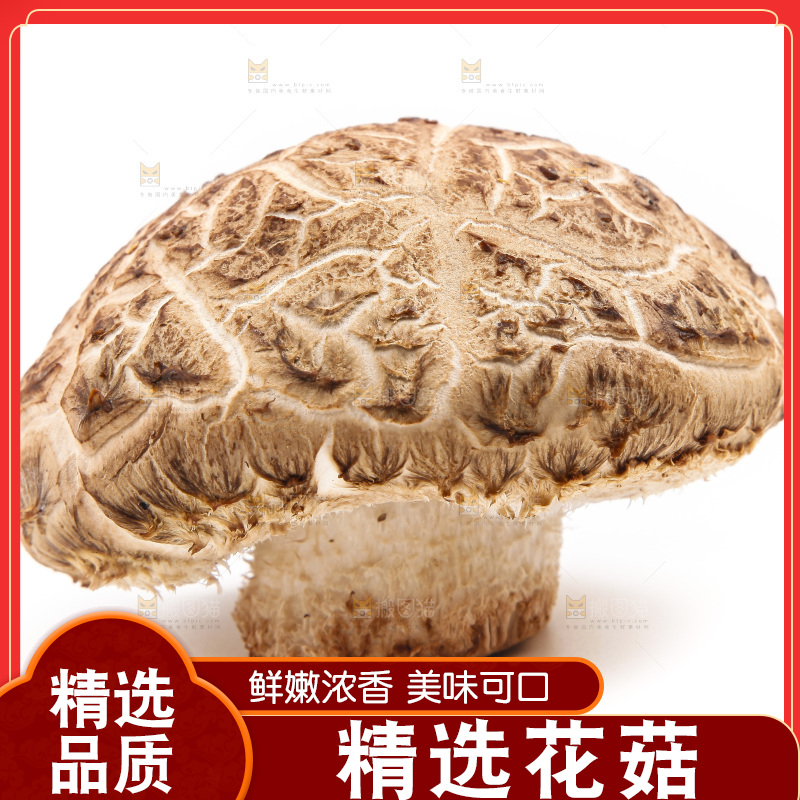 白底上放着花菇