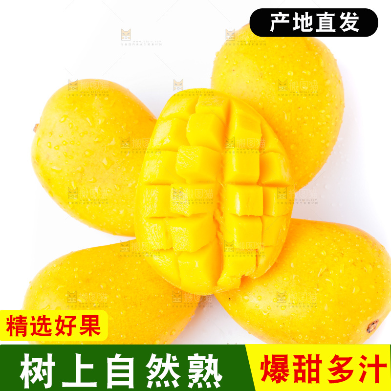 白底上放着小台农芒