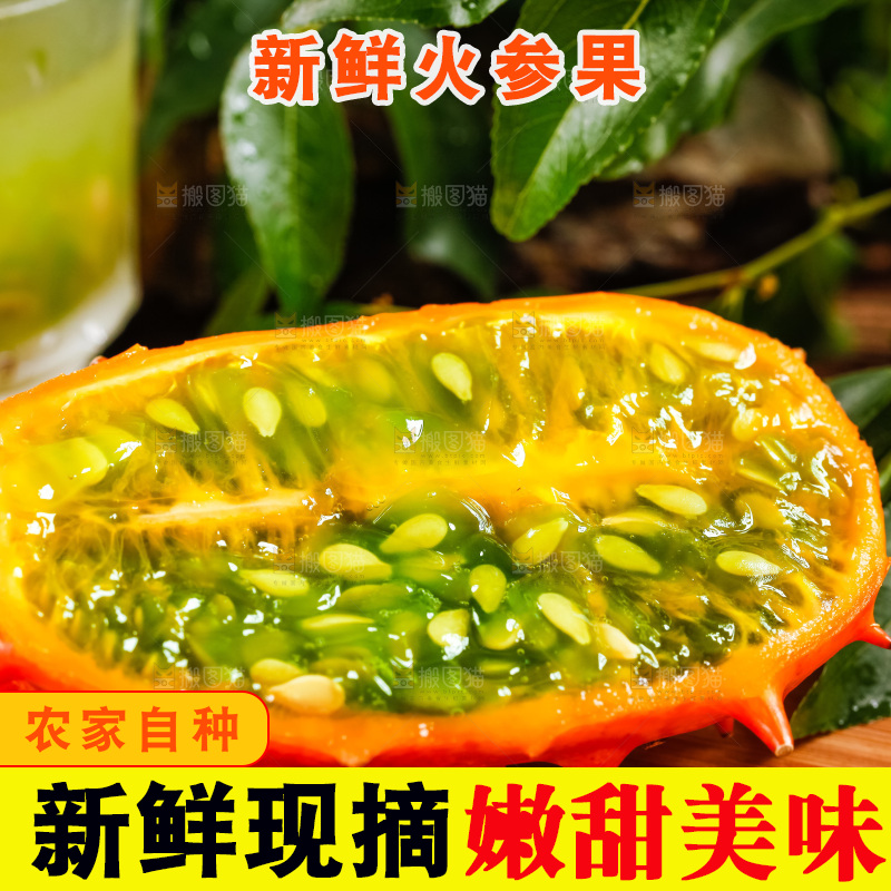 木底上摆放着海参果