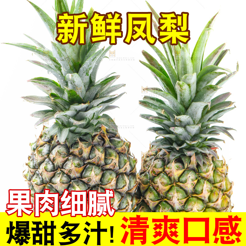 白底上的金钻凤梨