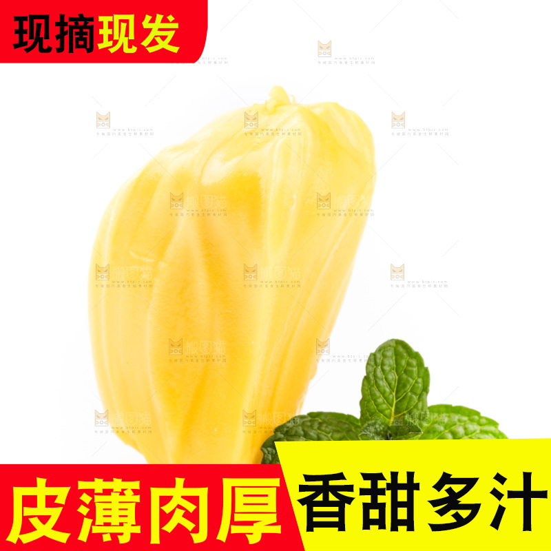 白底上的黄肉菠萝蜜
