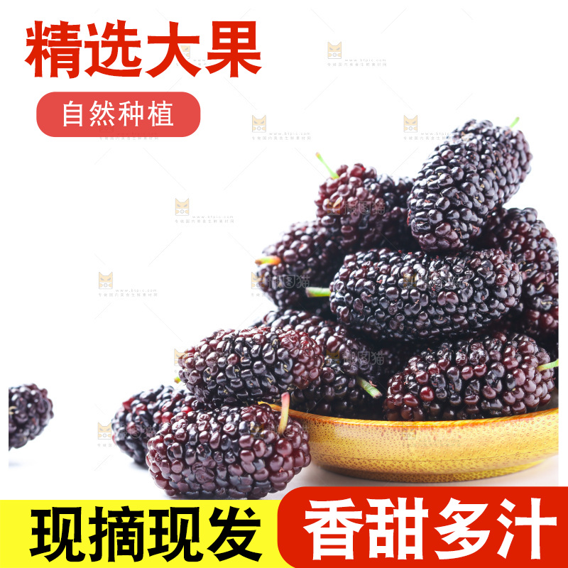 勺子里的桑葚
