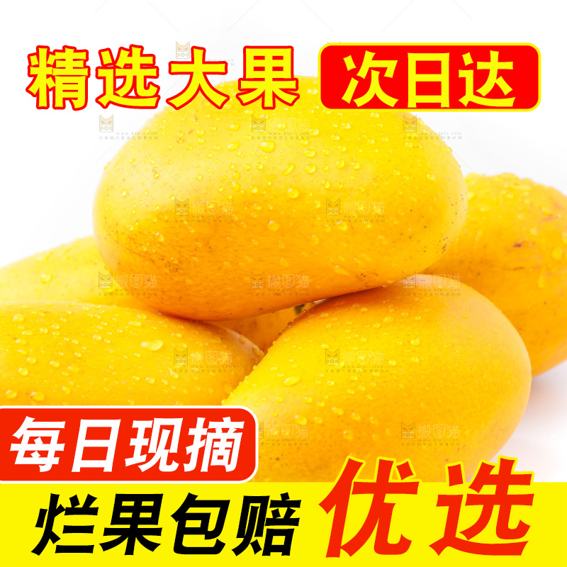 浅底上的海南小台农芒