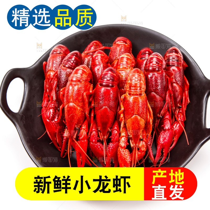 锅里的清蒸小龙虾