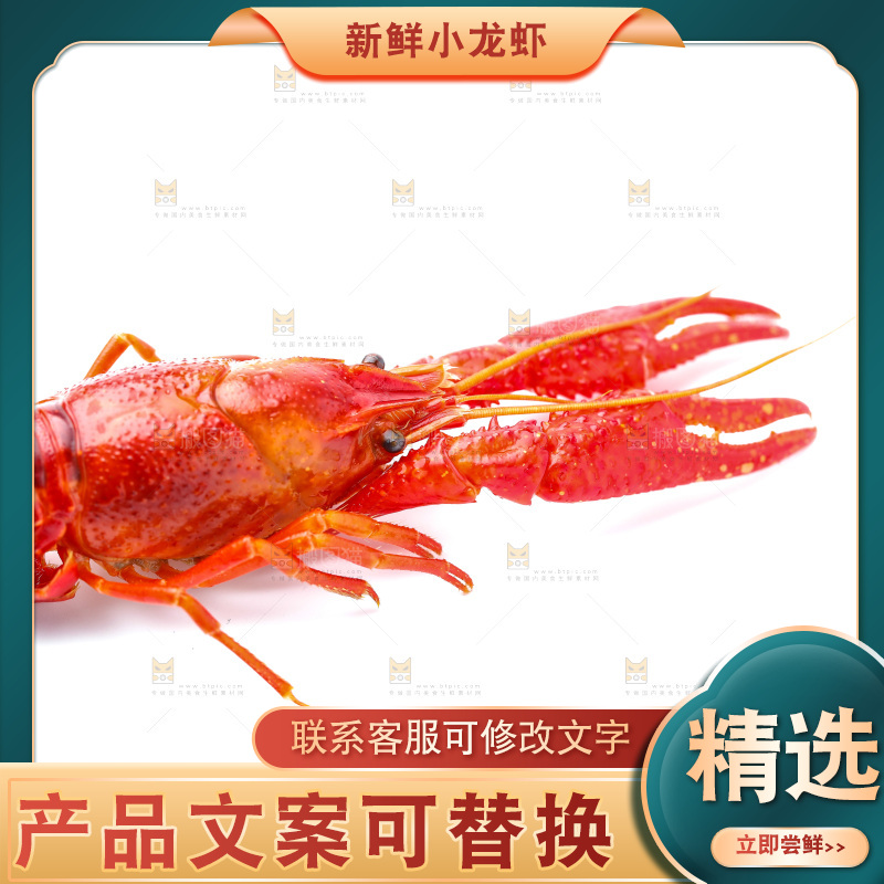 白底上放着秘制小龙虾
