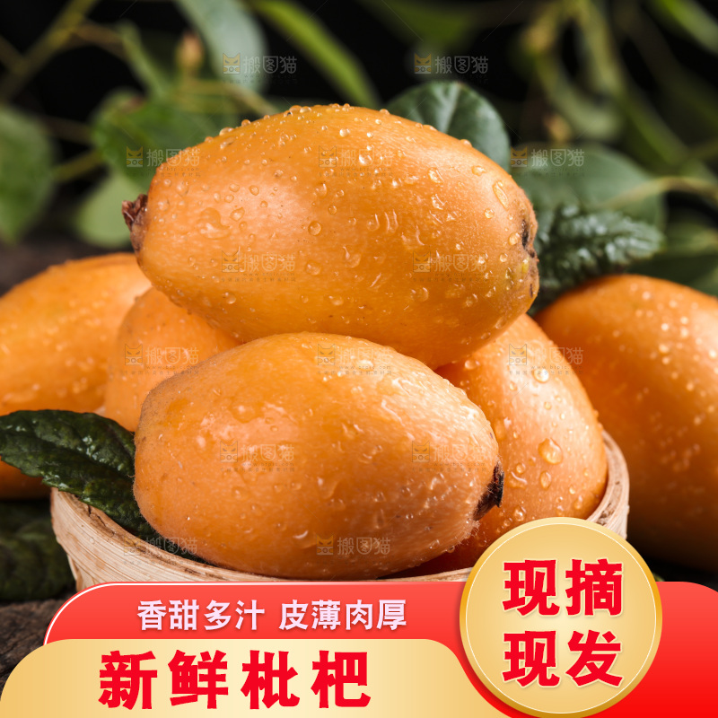 篮子里装着新鲜枇杷