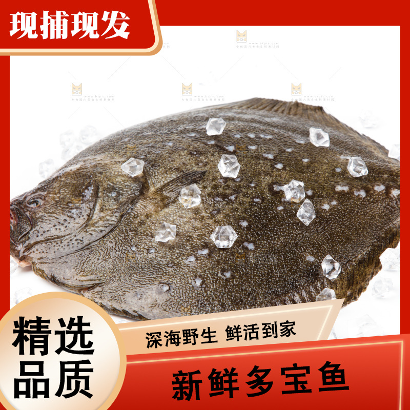 盘子里装着多宝鱼
