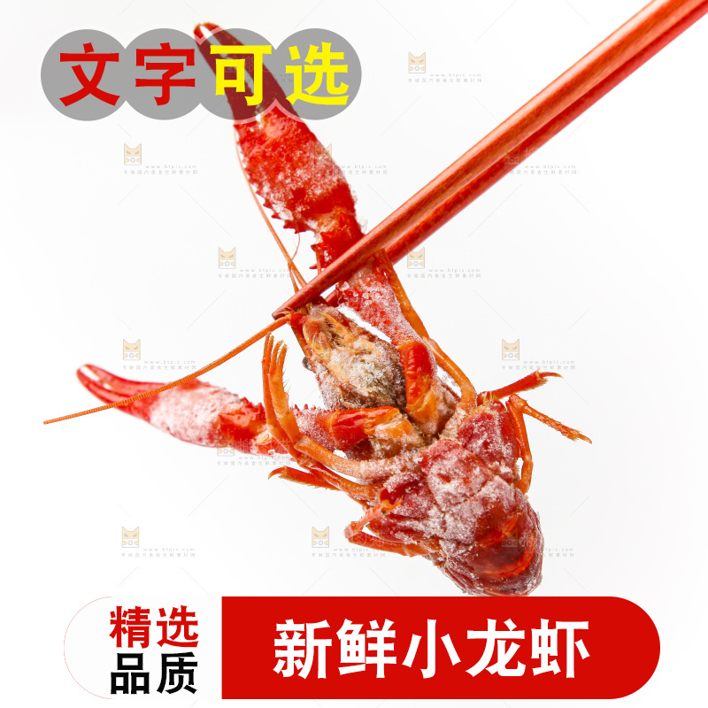 白底上的小龙虾