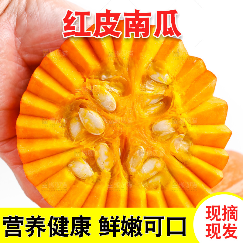 手里拿着南瓜