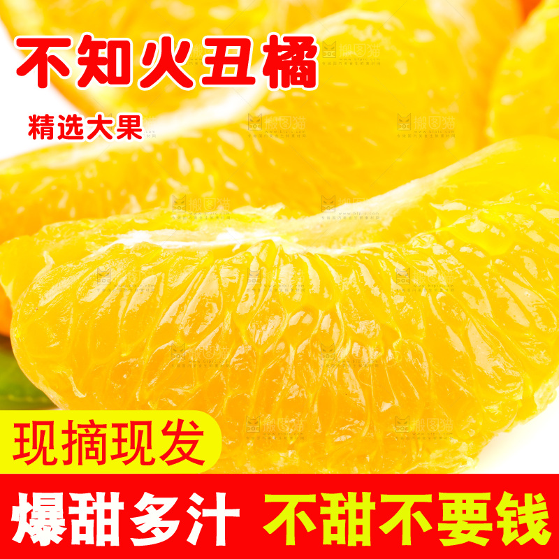 白底上的丑柑