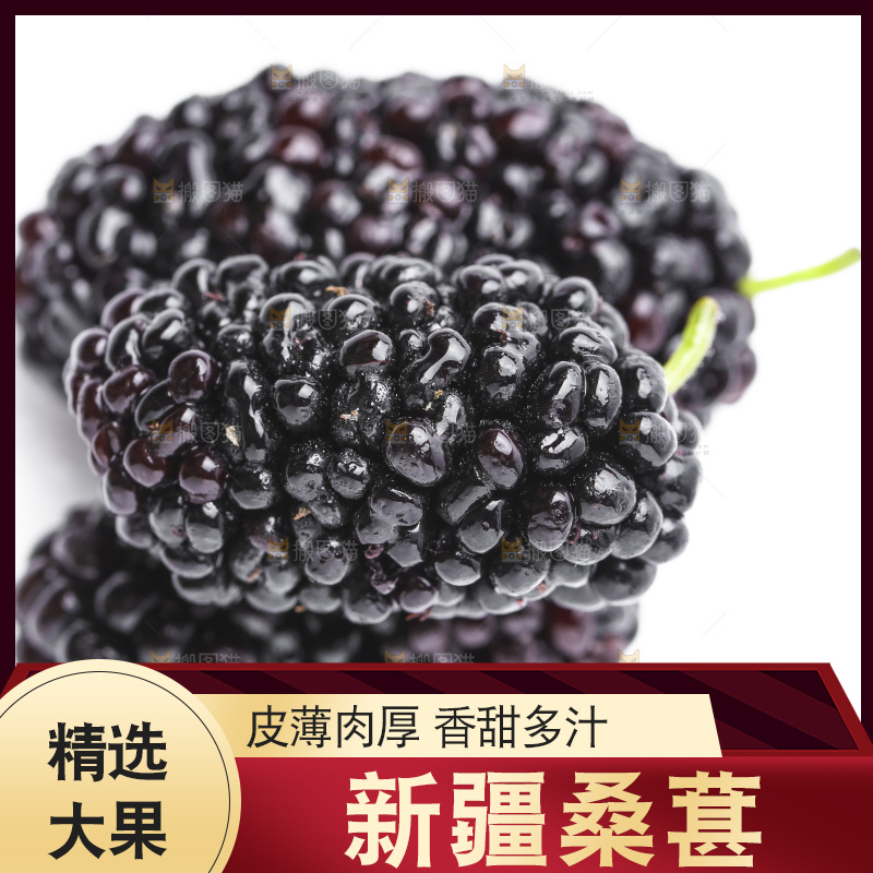 白底上的桑枣