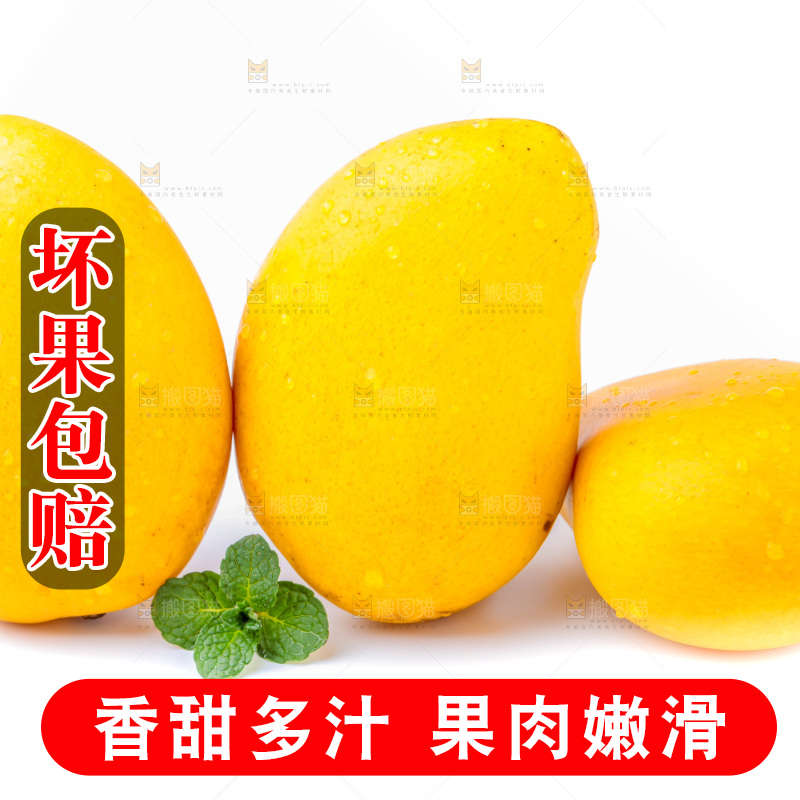 浅底上的海南小台农芒
