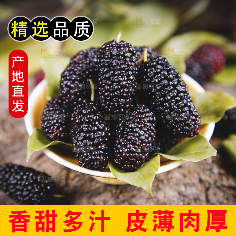 碟子里装着桑枣