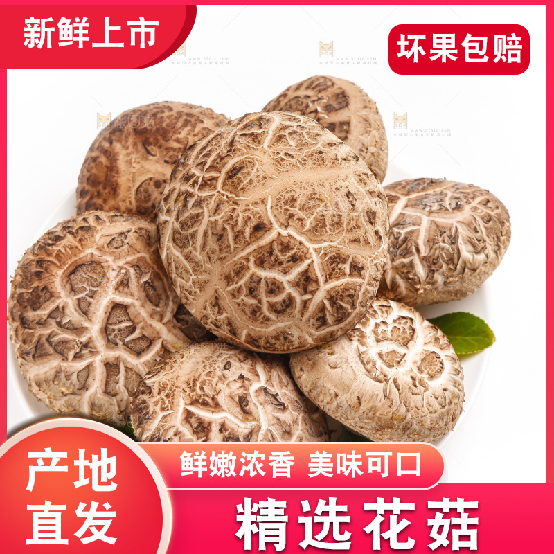 白底上放着花菇