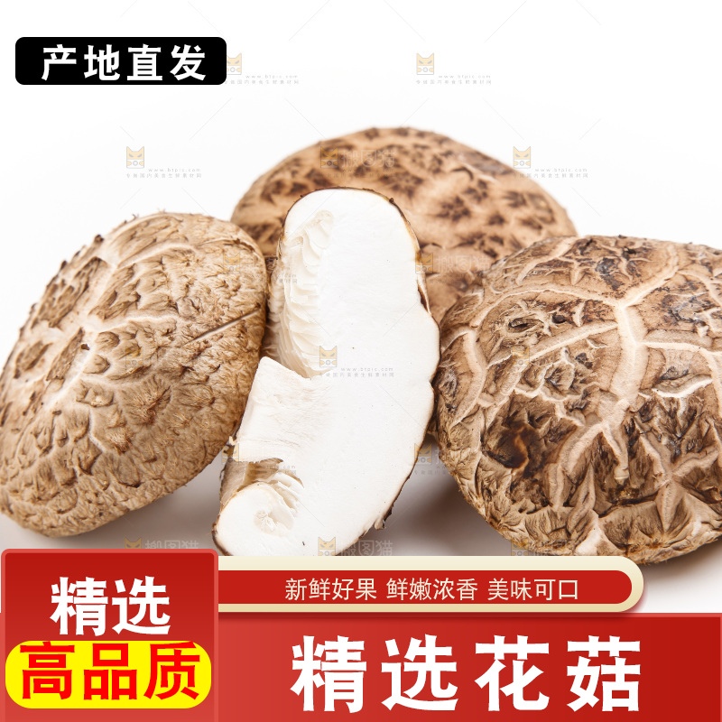 白底上放着花菇