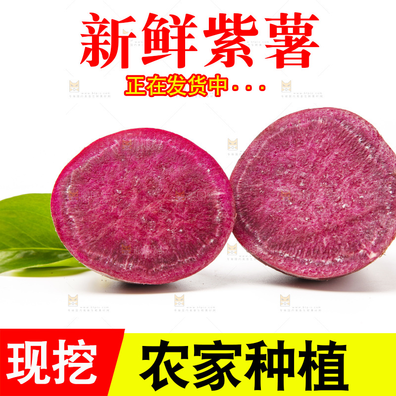 白底上的小番薯