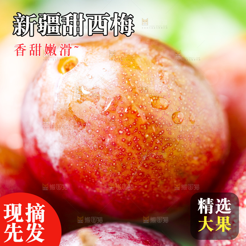 木底上的西梅