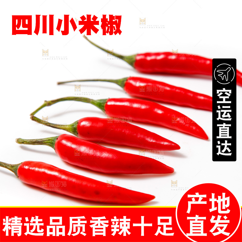 白底上的红辣椒