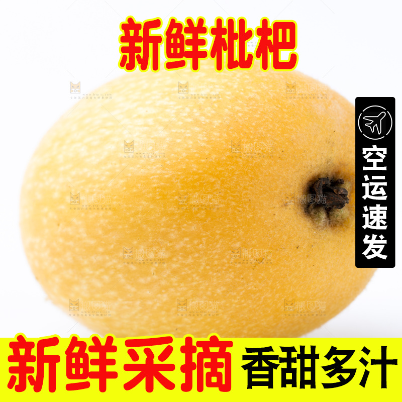 白底上放着新鲜枇杷