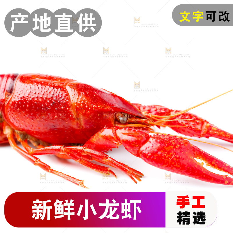 白底上放着秘制小龙虾