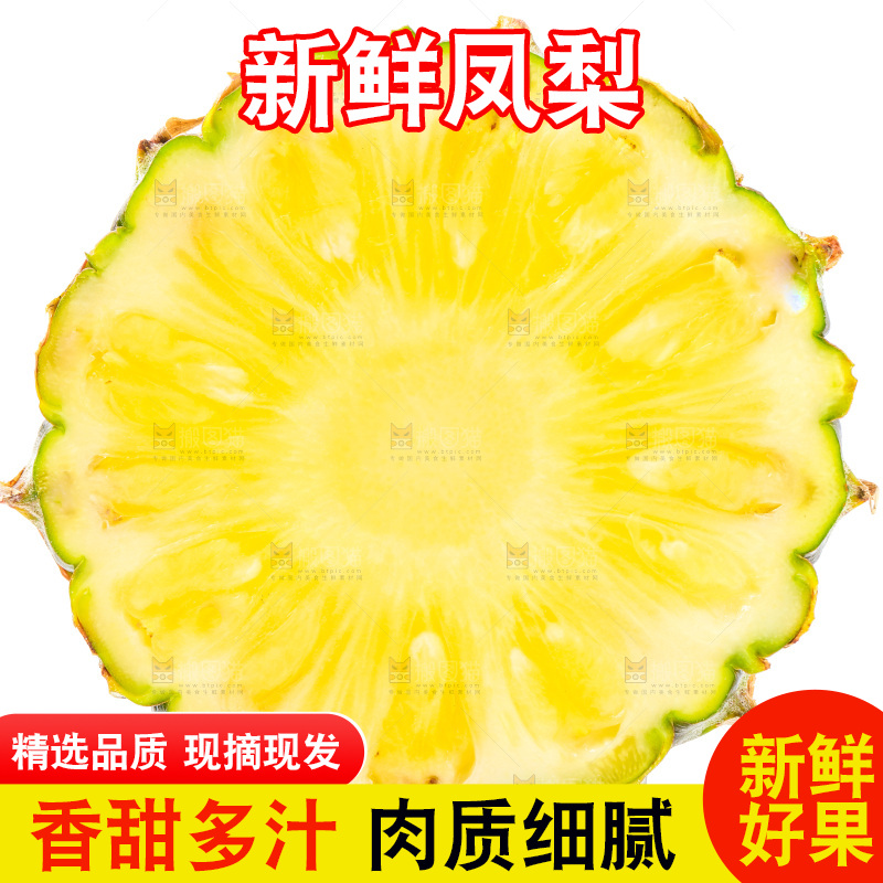 浅底上的海南凤梨