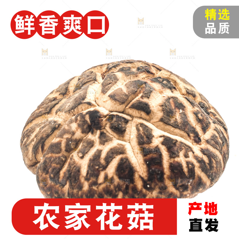 白底上放着花菇
