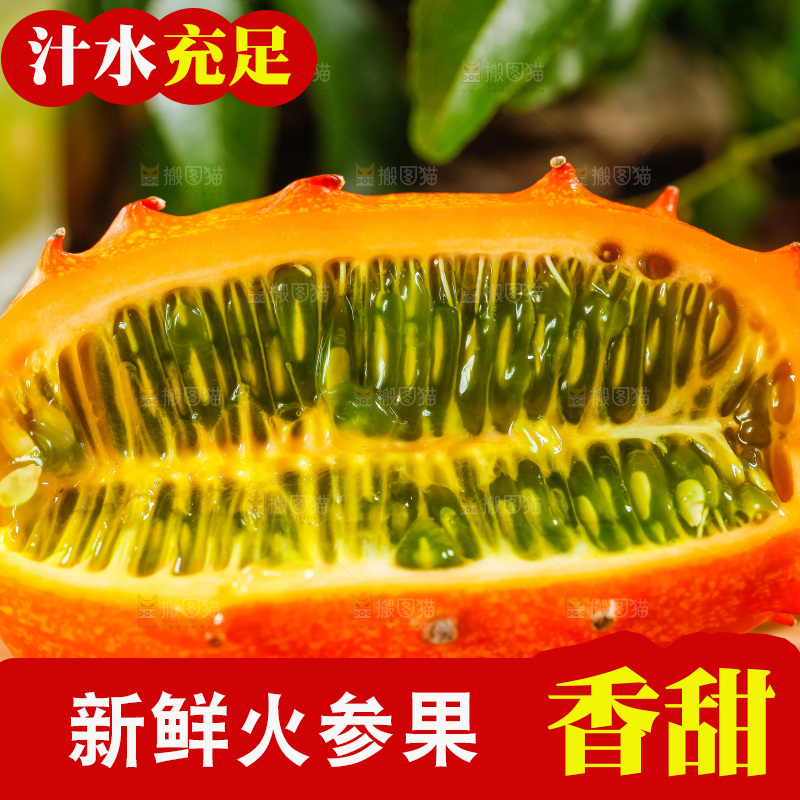 木底上摆放着海参果