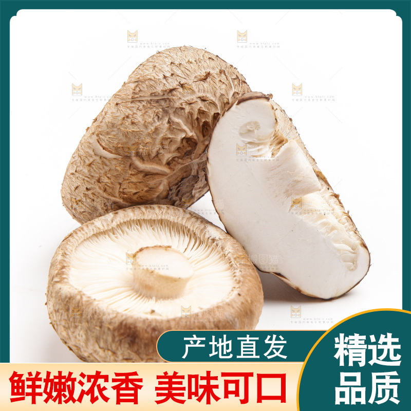 白底上放着花菇