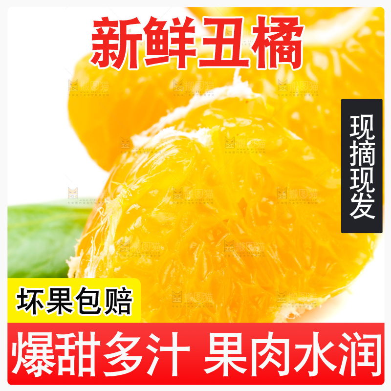 白底上的丑柑