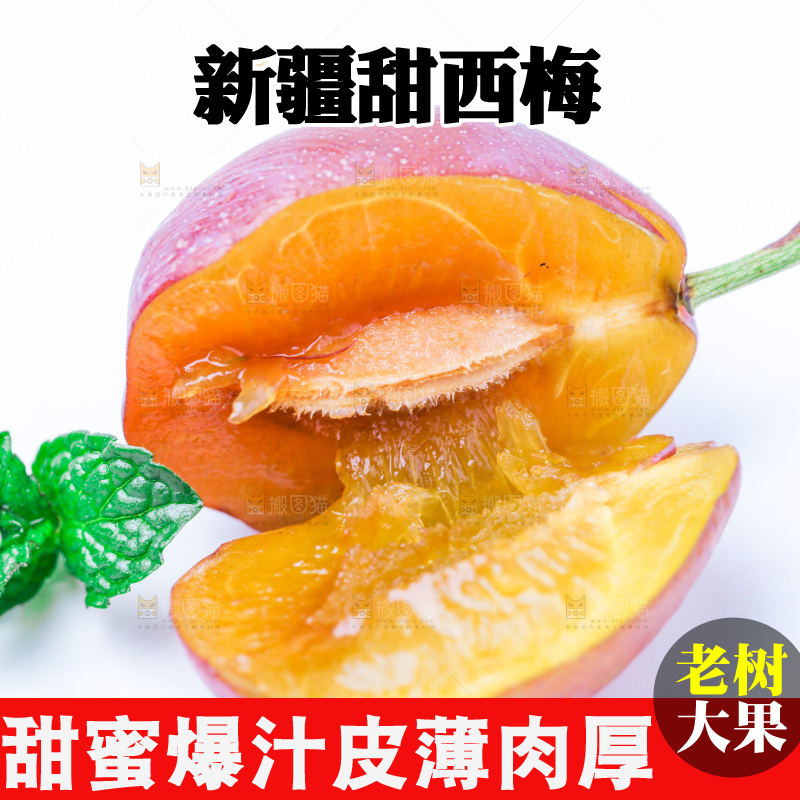 浅底上的新疆西梅