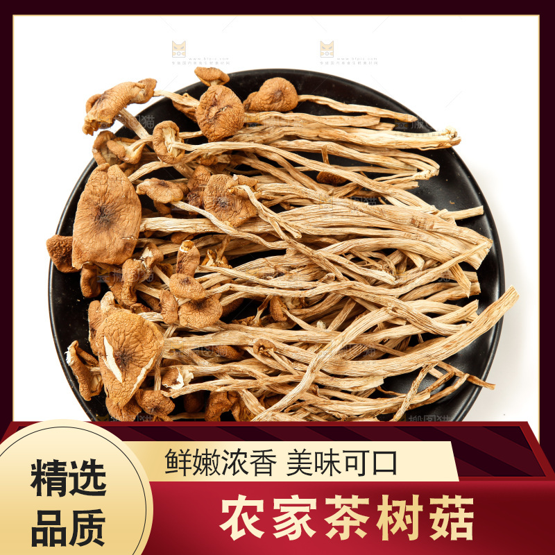 白底上的茶树菇