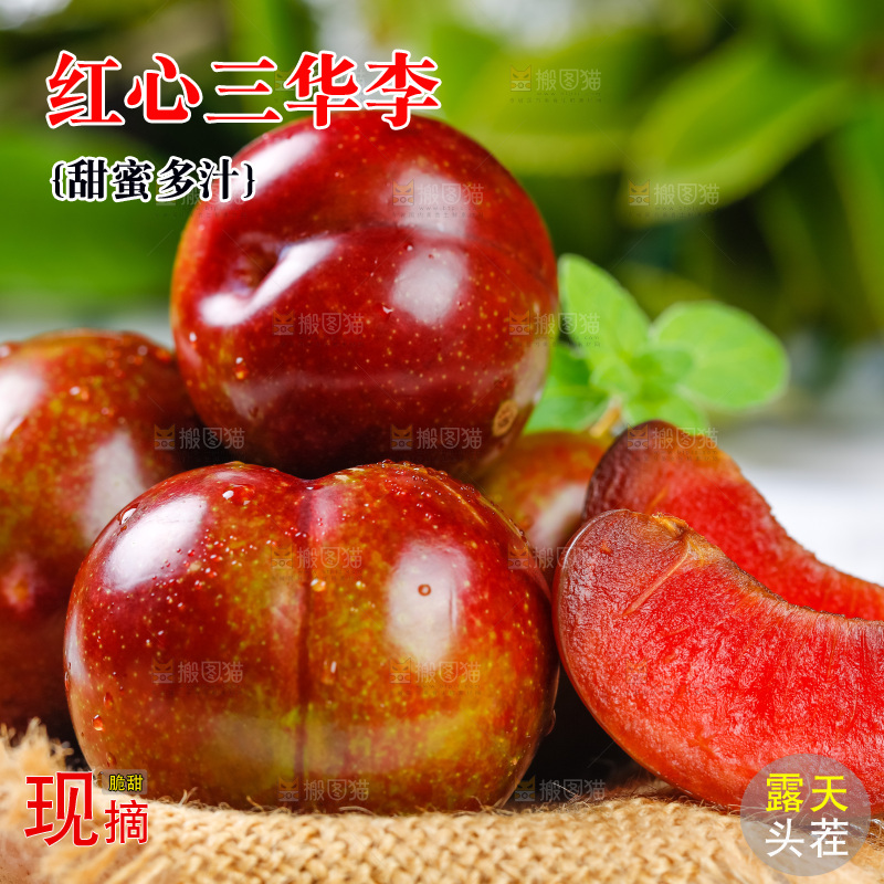 篮子里装着钱排三华李