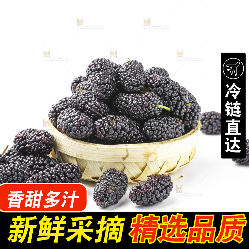 白底上摆放着桑葚