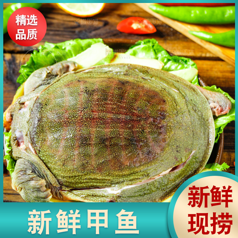 盘子里装着甲鱼